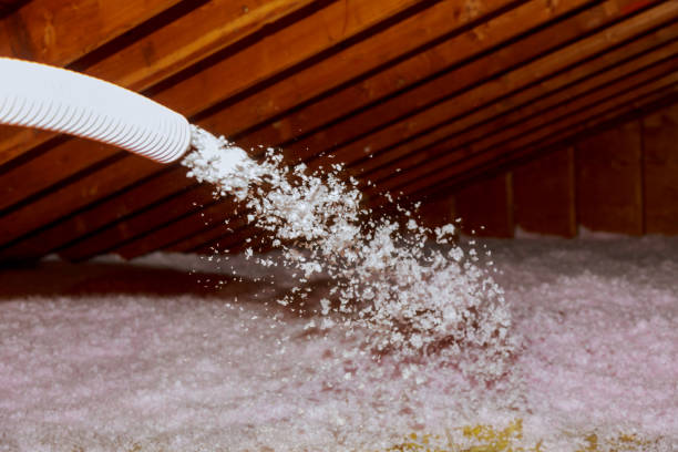Best Commercial Insulation in Houghton, NY